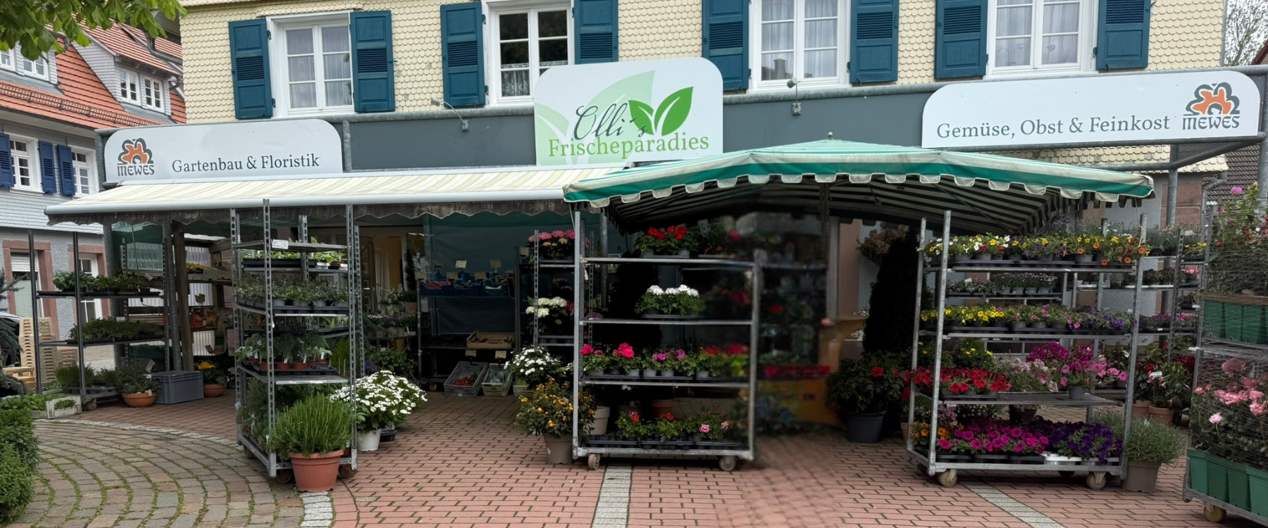 design-ohne-titel